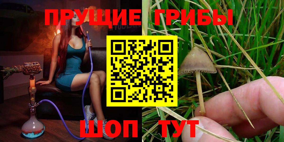 Галлюциногенные грибы мухоморы Ачинск