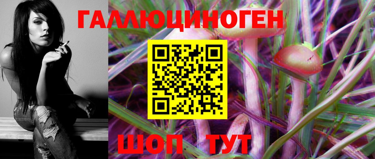 Ачинск  Псилоцибиновые грибы GOLDEN TEACHER  Вход с VPN 